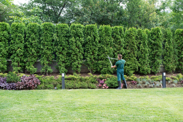 Lawn Irrigation Installation and Maintenance in Lake Fenton, MI